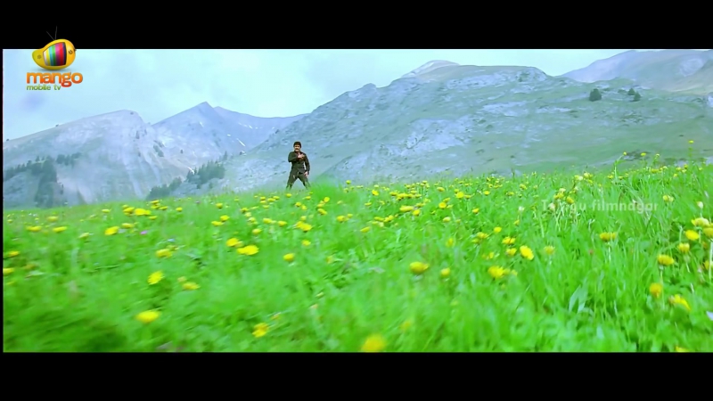 Nagarjuna Damarukam Movie Songs Nesthama Nesthama Song Afternoon Delight