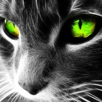 Александр Александрович