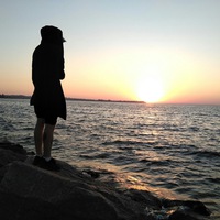 Ростислав Шевченко