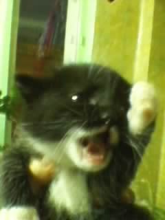 Марина Соколова фото профиля #1