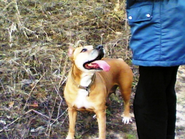 №16, Сева Михайлов, Москва №16, Сева Михайлов, Москва