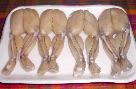 №19, Жулязникъ Додина, Санкт-Петербург №19, Жулязникъ Додина, Санкт-Петербург