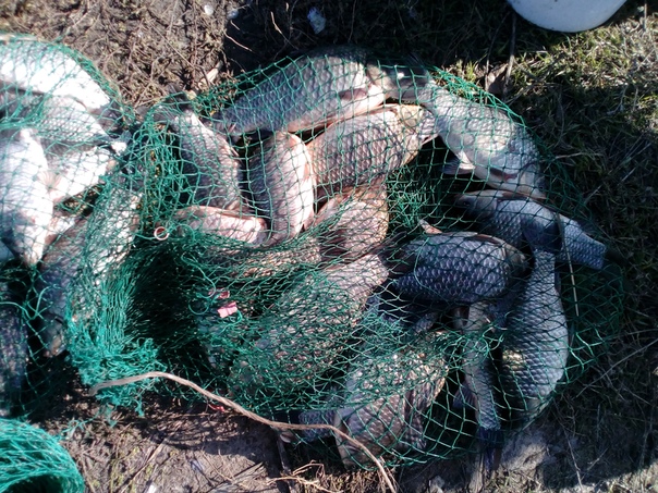 Рыбалка — Цимлянское водохранилище, Ростовская область, 47.522, 42.180