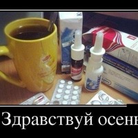 Анна Богданова