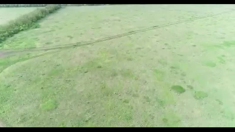 Видео от Hammer