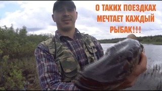 СУПЕР РЫБАЛКА, МНОГО РЫБЫ!!!