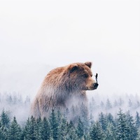 Михаил Андропов | Chicago