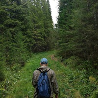 Михаил Кузнецов