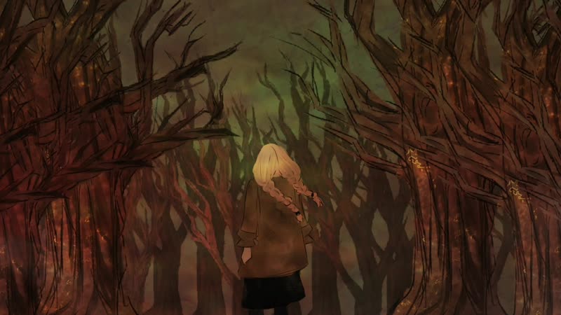 ФИЛКА I Видео