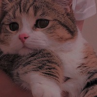 Алина Азизова | 