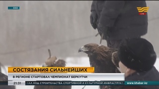 В СКО стартовал чемпионат беркутчи