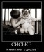 Игорь Петракович фотография #37 (источник - https://vk.com/id61772108)