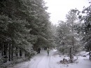 Фотография Янко Натальи