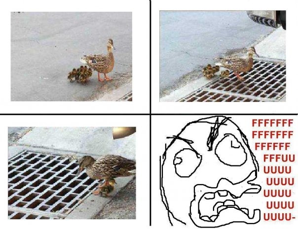 №38, Юрий Швецов, Санкт-Петербург №38, Юрий Швецов, Санкт-Петербург