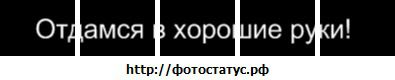 Фотография Настя Ефимова