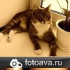 Аватар: Сашка Солнечная