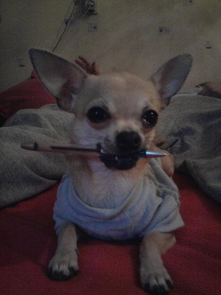 №98, Екатерина Намятова, Санкт-Петербург, Россия №98, Екатерина Намятова, Санкт-Петербург, Россия