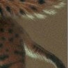 №32 Angelok Pavchuk 25.02: профиль, фото, статус - ВКонтакте