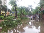 №27 Василиса Соколова 13.08.1987: профиль, фото, статус - ВКонтакте №27 Василиса Соколова 13.08.1987: профиль, фото, статус - ВКонтакте