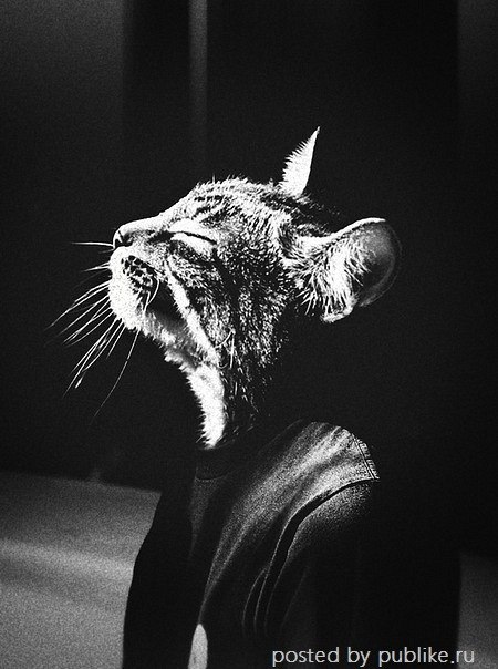 Настя Андрейченко | Сосновый Бор