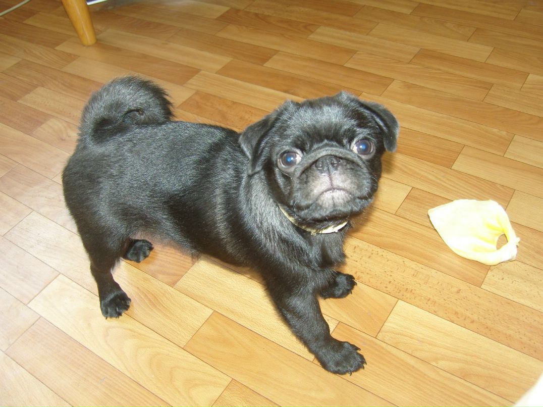 Мария Образцова | Тольятти