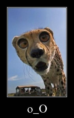 №29, Вова Журжий, Одесса №29, Вова Журжий, Одесса