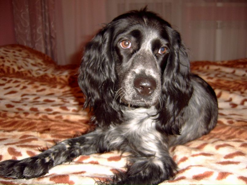 Маргарита Новоселова | Иркутск