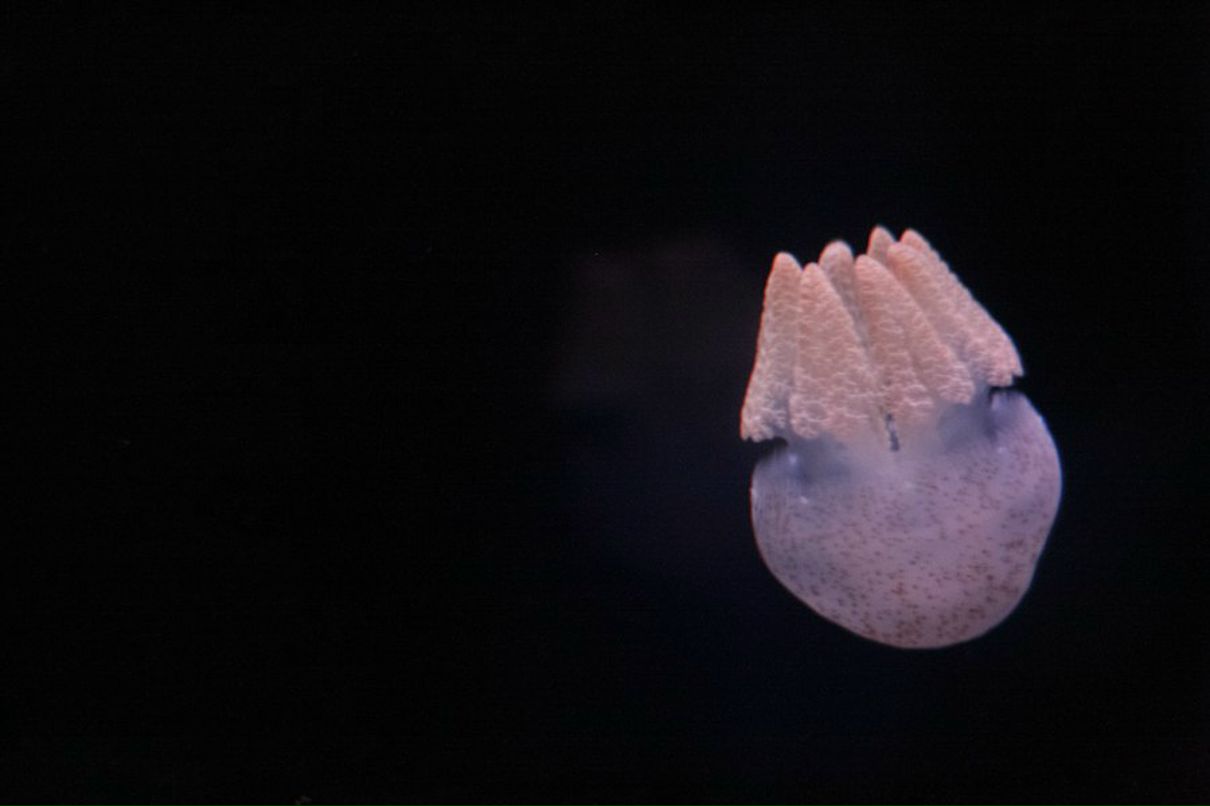 Рената Санникова | Ижевск