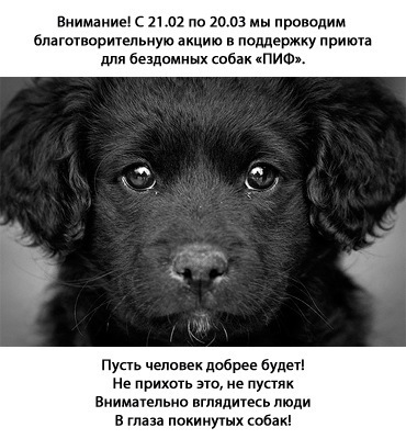 №43, Татьяна Рогатина, Донецк №43, Татьяна Рогатина, Донецк