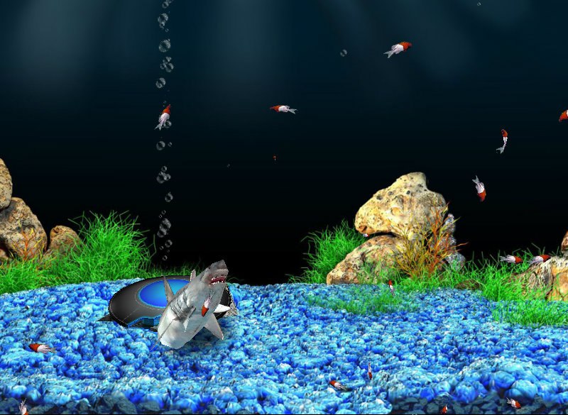 Ройал Гулиев | Санкт-Петербург