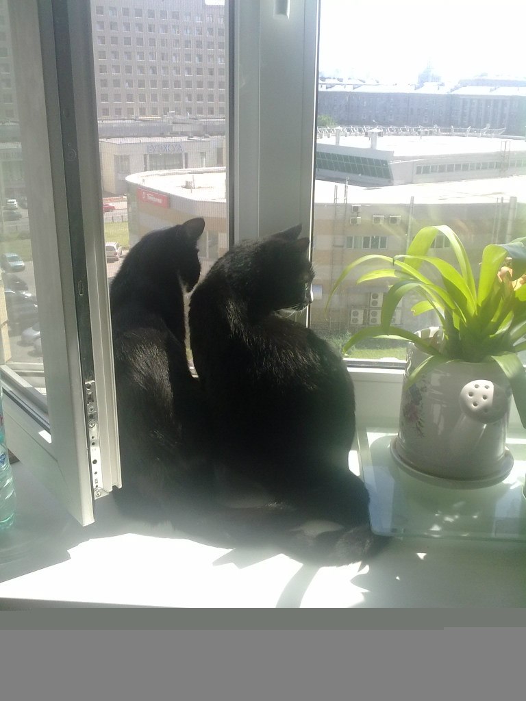 Kirill Germanov | Санкт-Петербург