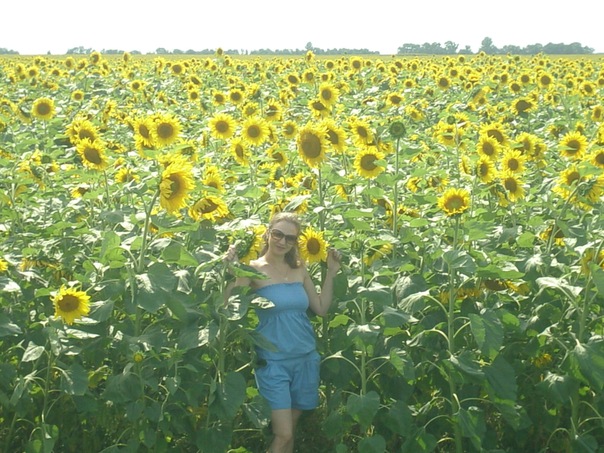 №53, Елена Дорошенко, 41 год, Щелково №53, Елена Дорошенко, 41 год, Щелково