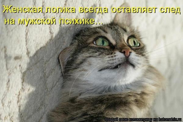 Евгений Комаров | 