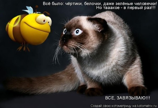 Вадим Ягодін | Киев