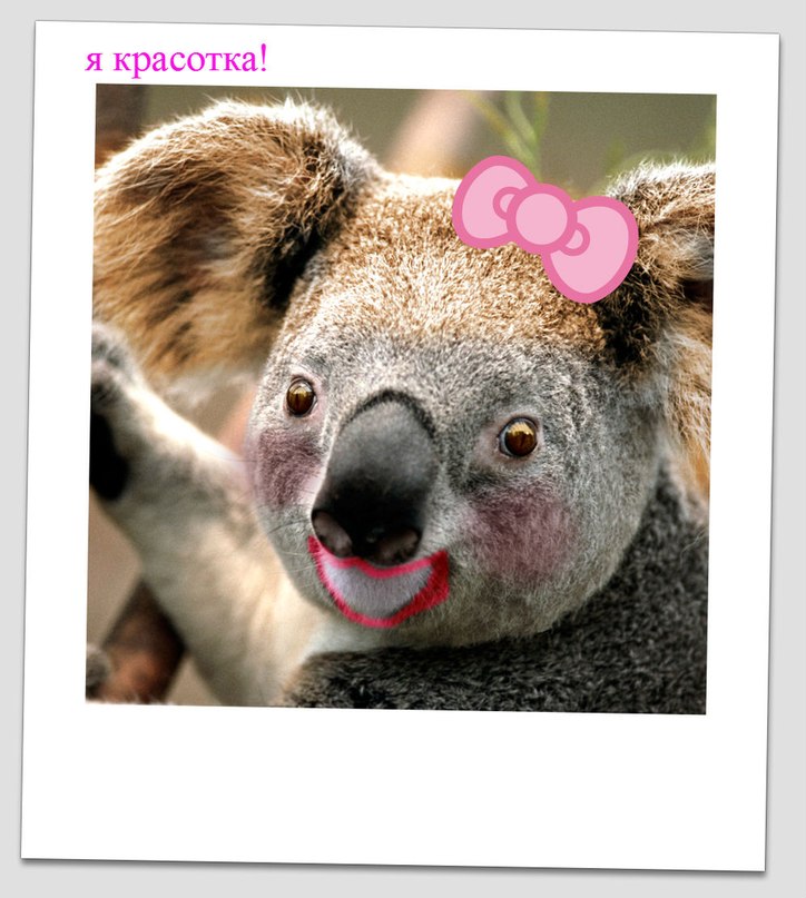 Валентина Самарина | Череповец