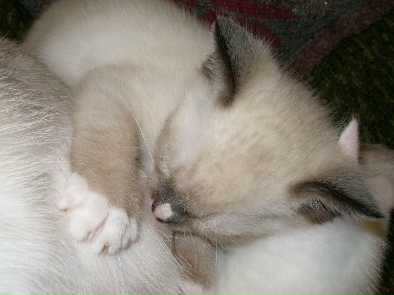 Валерий С. | Таллин