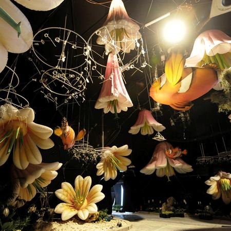 Алёна Фагуст | Ariel