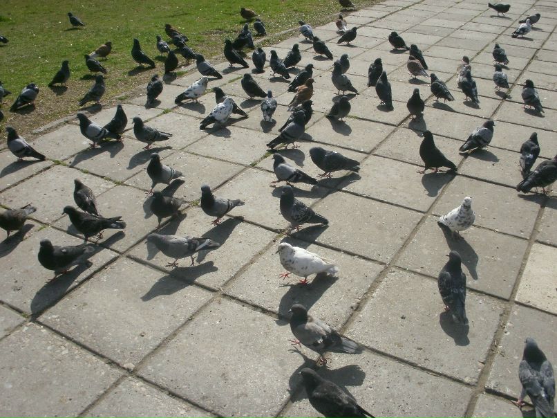 Надин Быченко | Киев