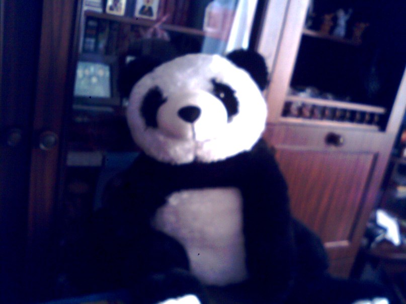 Алексей Вдовин | Москва