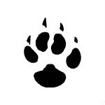 Сергей Куприенко | Киев