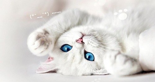 Люся Морозан | Ханты-Мансийск