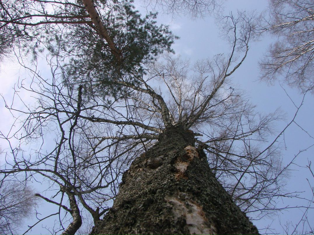 Евгений Осипов | Петрозаводск