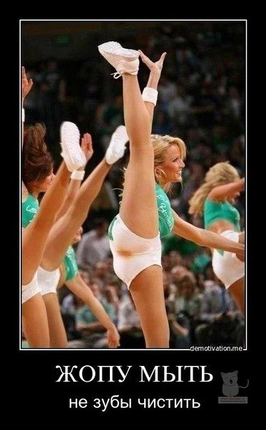 Евгений Шкутов одуванчик пля | 