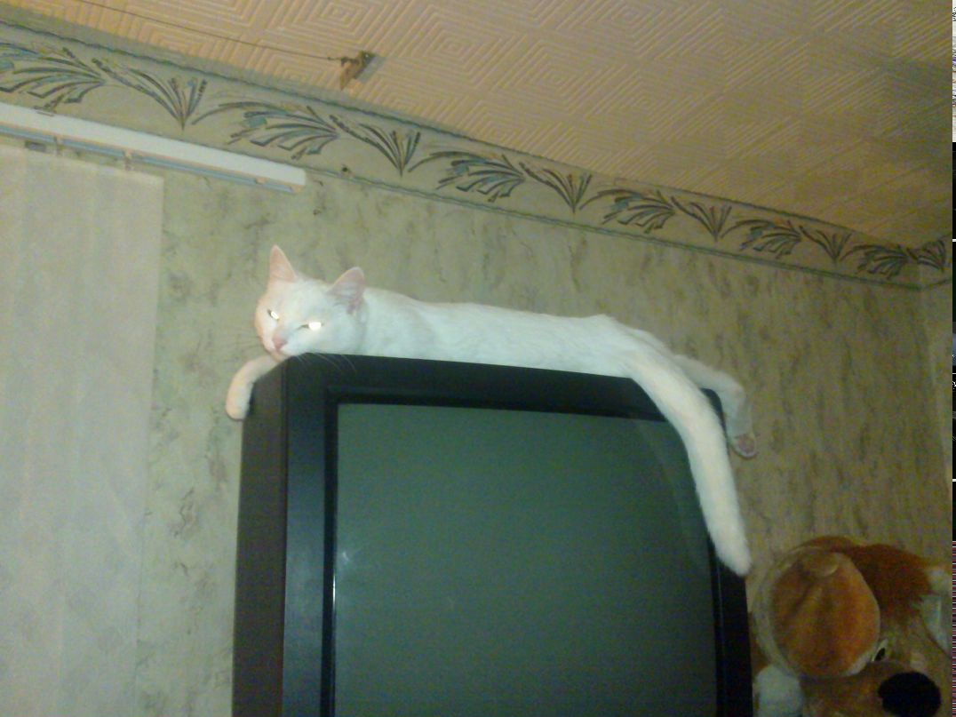 Владислав Мамотов VL4DEK | Омск