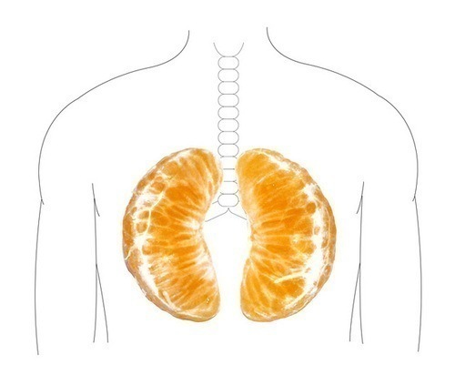 №9, Алексей Гребенник, 18.03, Львов №9, Алексей Гребенник, 18.03, Львов