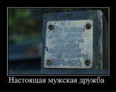 №31 Любовь Яснова 06.07.1996: профиль, фото, статус - ВКонтакте