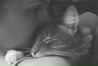 №15 Лена Король : профиль, фото, статус - ВКонтакте