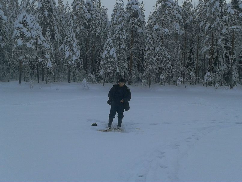 Сергей Глушко | 