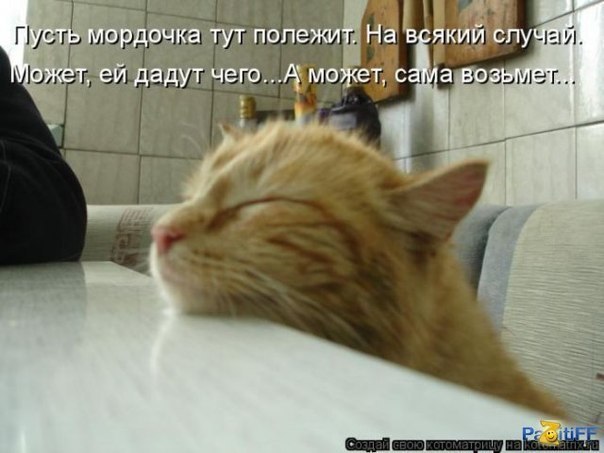 Алсу Гилязова | Казань