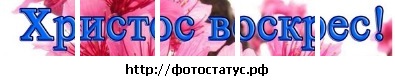 №163, Емілія Поп, Мукачево №163, Емілія Поп, Мукачево
